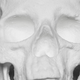 Illustration for article titled This full-size human skull is made out of cocaine